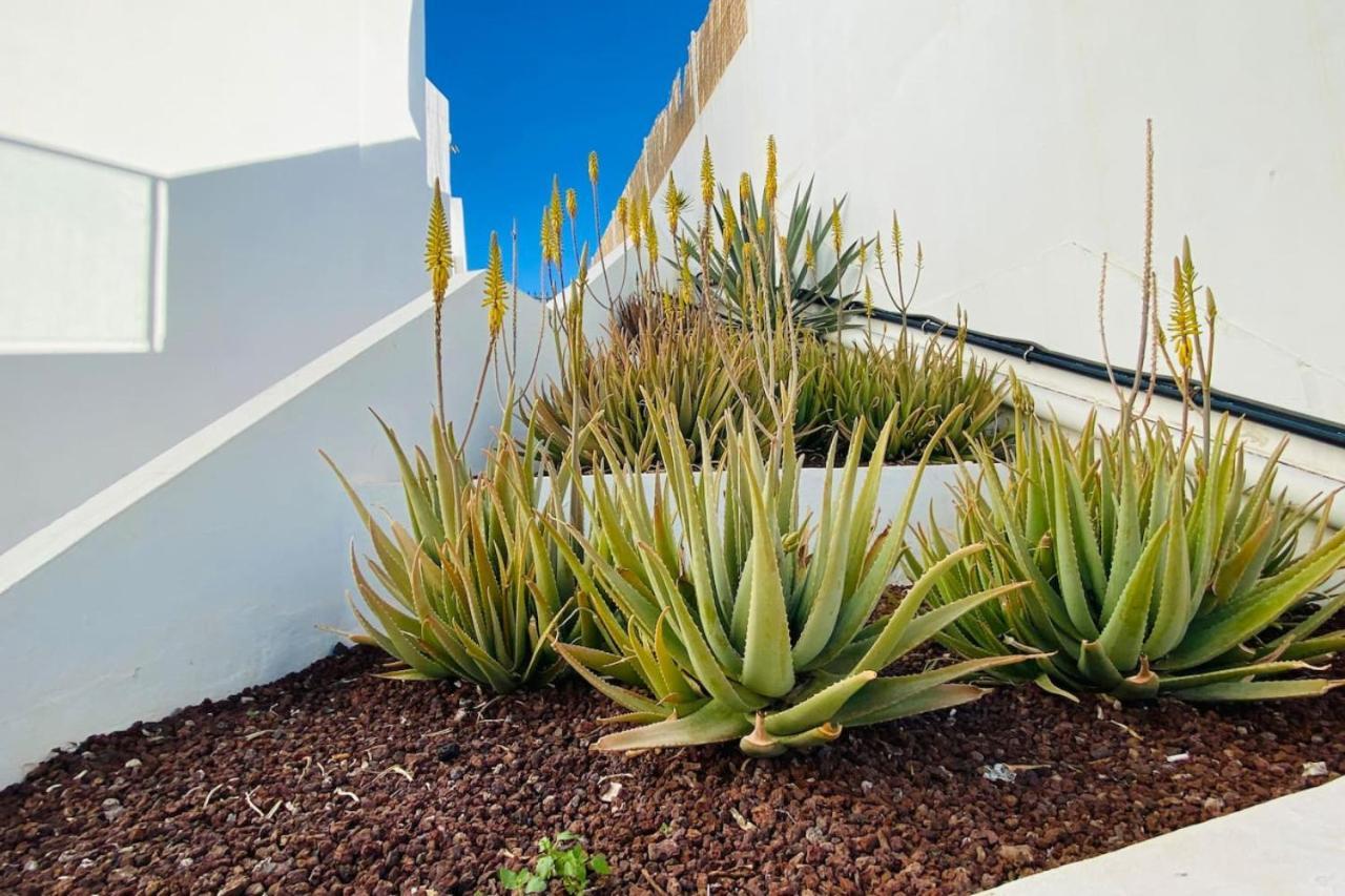Tenerife.365 Atalaya Court II Sunset Ocean View Costa Adeje (Tenerife) Exterior foto
